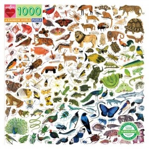 Eeboo: A Rainbow World (1000) legpuzzel