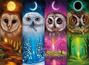 Nova Puzzle: Four Seasons Owls (1000) uilenpuzzel