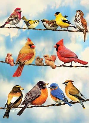 Cobble Hill: Birds on a Wire (500XL) verticale puzzel