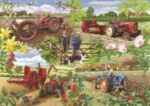 House of Puzzles: Farming Year (1000) legpuzzel