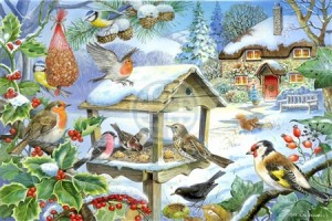House of Puzzles: Feed the Birds (250XL) legpuzzel
