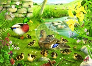 House of Puzzles: Ducks to Water (500XL) legpuzzel