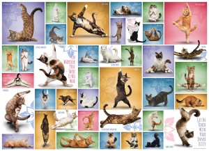Eurographics: Yoga Cats (1000) kattenpuzzel