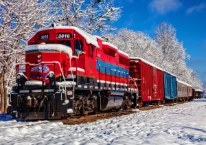 Bluebird: Red Train in the Snow (1500) legpuzzel