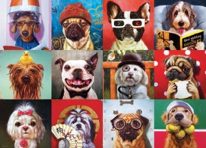 Eurographics: Funny Dogs - Lucia Heffernan (1000) kattenpuzzel