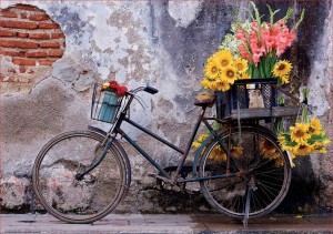 Educa: Bicycle with Flowers (500) legpuzzel