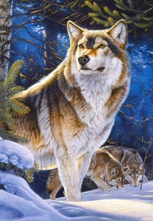 Castorland: Sentinel (1000) wolvenpuzzel