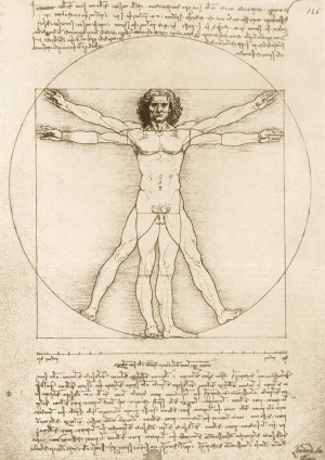 Art by Bluebird: Leonardo Da Vindi - The Vitruvian Man (1000) kunstpuzzel