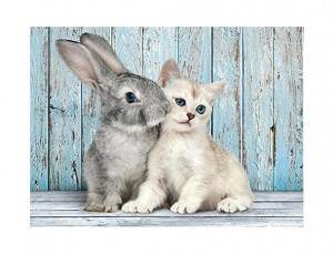 Clementoni: Cat and Bunny (500) legpuzzel
