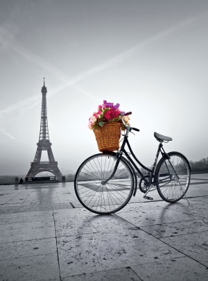 Clementoni: Romantic Promenade in Paris (500) verticale puzzel