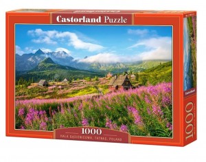 Castorland: Hala Gasienicowa, Tatras Poland (1000) legpuzzel
