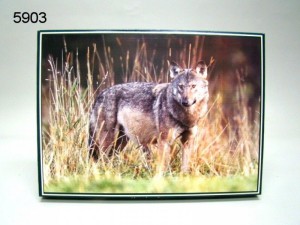 Geharo: Wolf (1000) wolvenpuzzel
