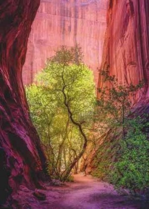 Heye: Power of Nature - Singing Canyon (1000) legpuzzel