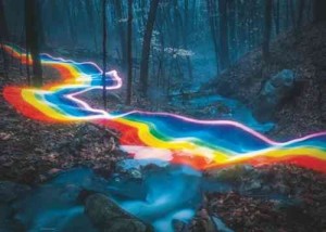 Heye: Magic Forests - Rainbow Road (1000) legpuzzel