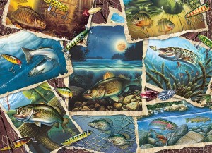 Cobble Hill: Fish Pics (1000) legpuzzel