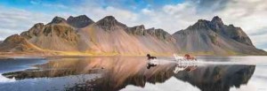 Heye: Alexander von Humboldt - Iceland Horses (1000) panoramapuzzel