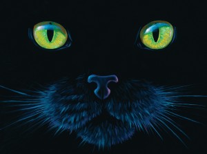 SunsOut: Black Cat (1000) kattenpuzzel