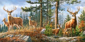 Castorland: Royal Deer Family (4000) panoramapuzzel