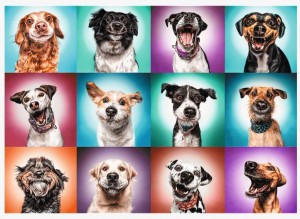 Trefl: Funny Dog Portraits 2 (2000) hondenpuzzel