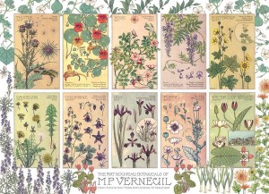 Cobble Hill: Botanicals by Verneuil (1000) legpuzzel