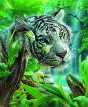 SunsOut: White Tiger of Eeden (1000) tijgerpuzzel