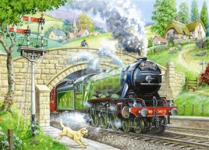 House of Puzzles: Train Spotting (250BIG) legpuzzel