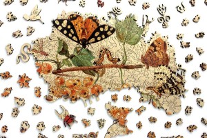 Inside Adventure: Insects and Fruits (571) houten legpuzzel
