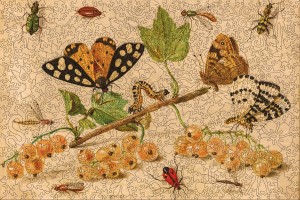 Inside Adventure: Insects and Fruits (571) houten legpuzzel