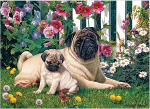 Cobble Hill: Pug Family (1000) hondenpuzzel