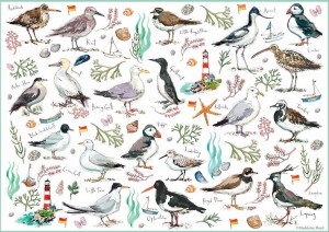 Otter House: Seabirds (500) vogelpuzzel
