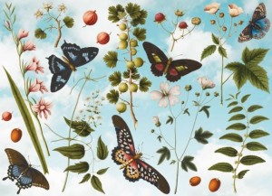 Bekking en Blitz: Collage from several artworks (1000) vlinderpuzzel