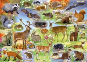 Gibsons: British Wildlife (500) legpuzzel