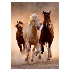 Clementoni: Running Horses (1000) verticale puzzel