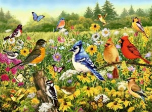 Ravensburger: Vogels in de Wei (500) vogelpuzzel