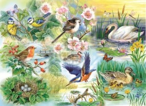 House of Puzzles: Feathered Friends (250BIG) vogelpuzzel