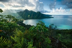 Ravensburger: Adembenemend Hawaï (5000) grote puzzel