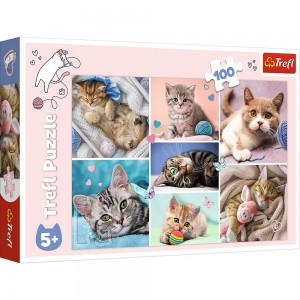 Trefl: World of Cats (100) kinderpuzzel