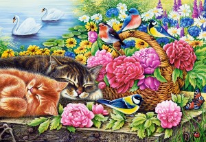 Castorland: Lazy Sunday (1000) kattenpuzzel