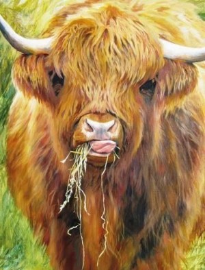 All Jigsaw Puzzles: Highland Cow (1000) verticale puzzel