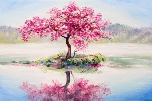 Nova Puzzle: Pink Cherry Blossom (1000) legpuzzel