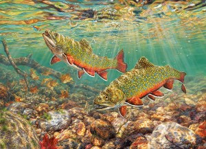 Cobble Hill: Brook Trout (1000) vissenpuzzel