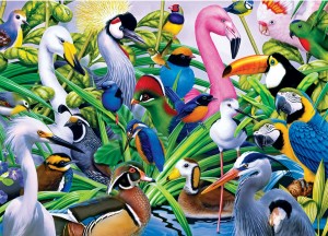 Master Pieces: Audubon - Colorful Companions (1000) vogelpuzzel