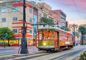 Bluebird: Tramway, New Orleans, USA (1000) legpuzzel