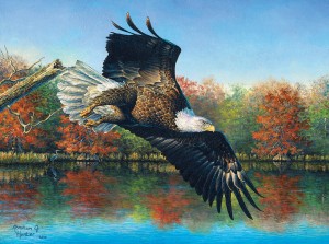 SunsOut: Wetlands Eagle (1000) vogelpuzzel