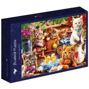 Bluebird: Kittens in the Potting Shed (3000) kattenpuzzel