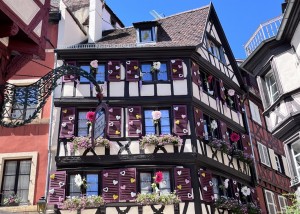 Bluebird: Love in Colmar France (500) legpuzzel