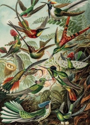 Bekking en Blitz: Kunstformen der Natur (1000) verticale vogelpuzzel