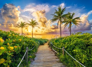 Castorland: Colorful Sunrise in Miami (3000) legpuzzel