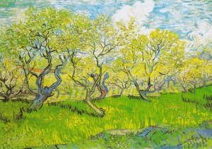 Enjoy: Orchard in Blossom (1000) kunstpuzzel