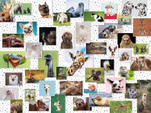 Ravensburger: Funny Animals Collage (1500) legpuzzel